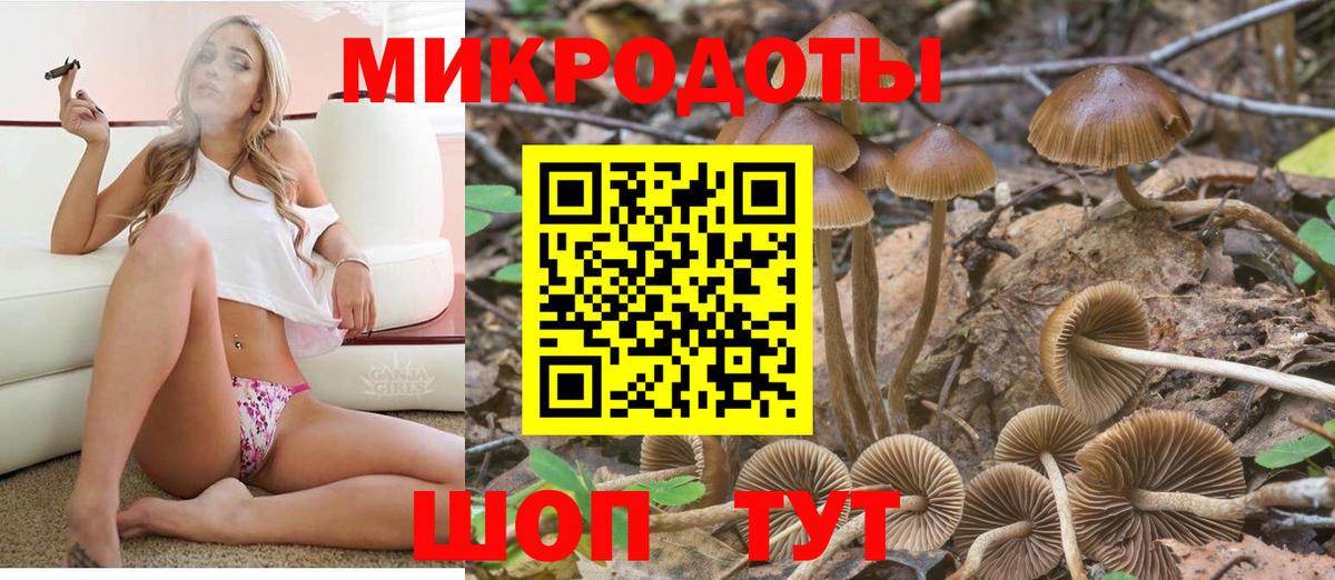 Псилоцибиновые грибы Psilocybine cubensis Похвистнево