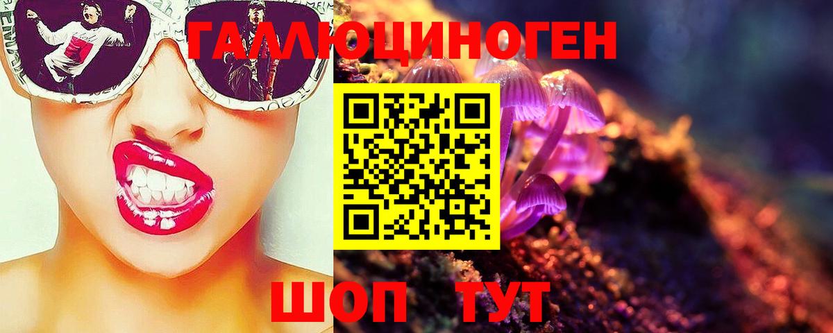 Галлюциногенные грибы Psilocybe  Вход с VPN  Похвистнево 